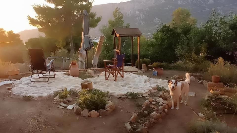 Harmonic Place Loutraki Zewnętrze zdjęcie